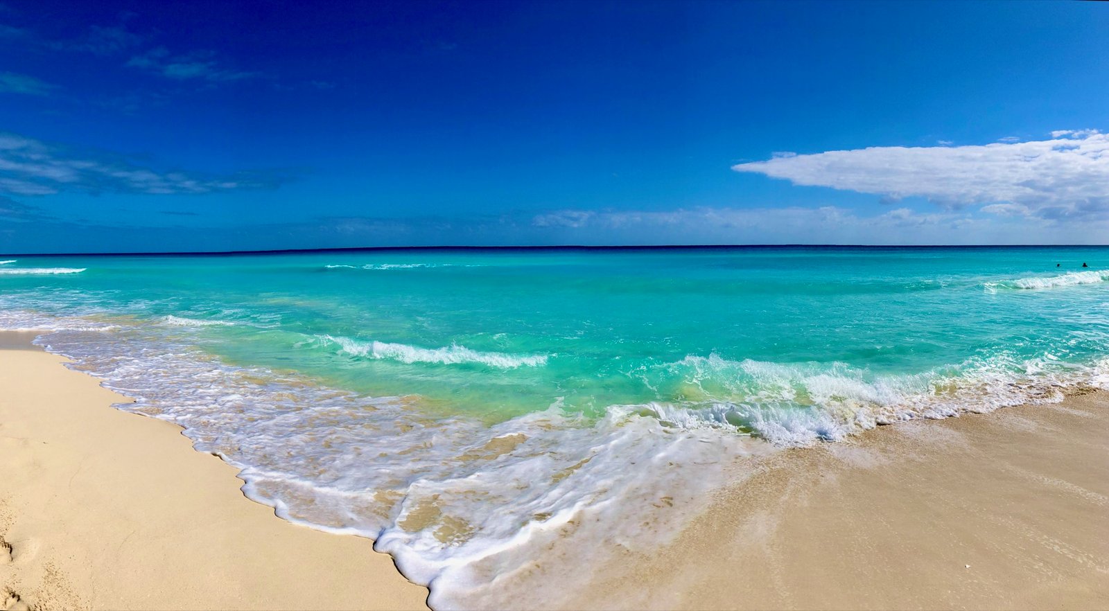Caribbean shoreline photograph by Manu Kapoor